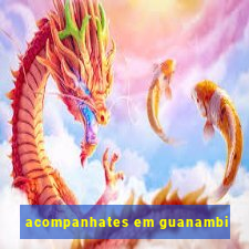 acompanhates em guanambi